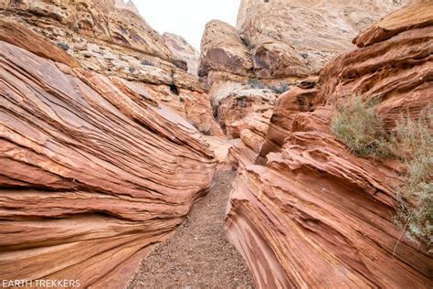 Little Wild Horse Canyon – Bell Canyon Loop: A Step.